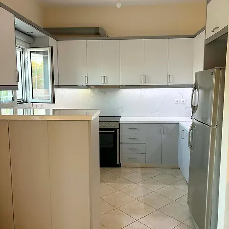 Dimitris House 度假居 Pllake